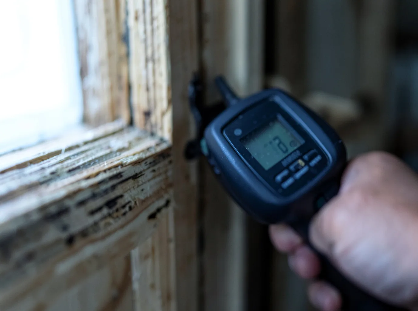Moisture Inspection And Documentation in Pattersonville, NY